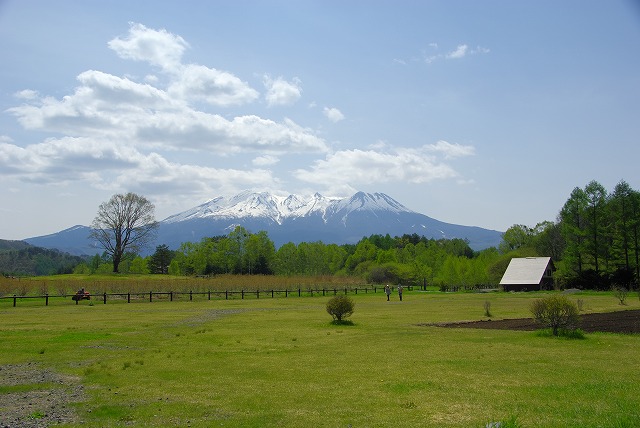 e0184921_21164338.jpg