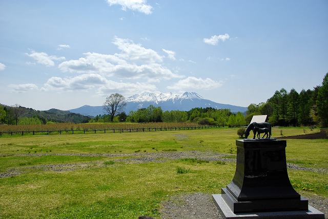 e0184921_21324359.jpg