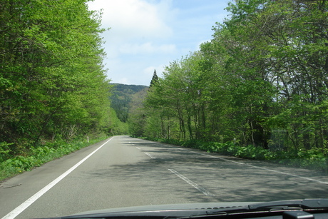 d0250123_11561581.jpg