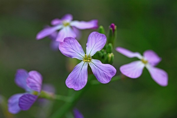 c0104227_1751194.jpg