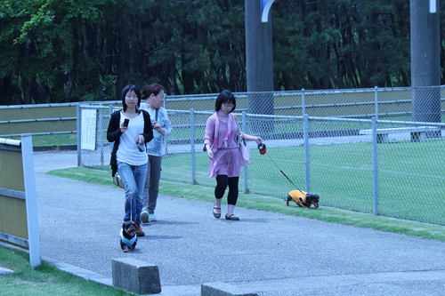 b0134529_2395738.jpg