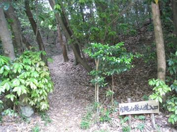 c0077338_19514350.jpg