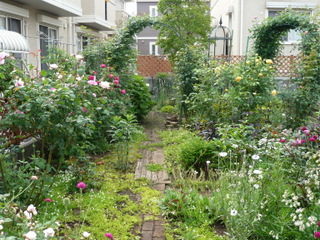 b0200240_14335197.jpg