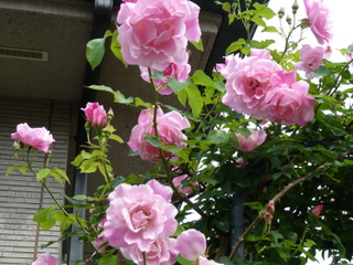 b0200240_14342376.jpg
