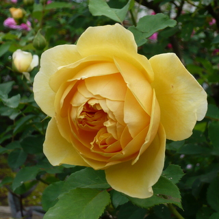 b0200240_14352193.jpg