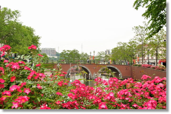 a0145741_21234154.jpg
