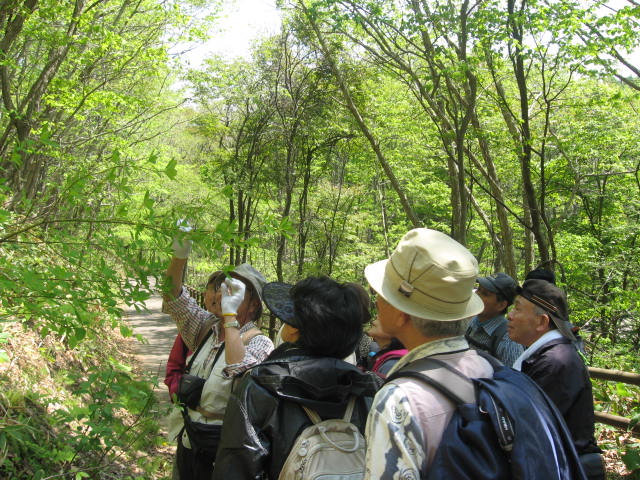 c0233141_1452266.jpg