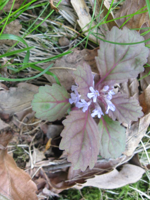 c0233141_1458079.jpg