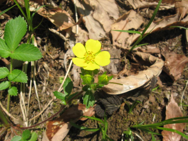 c0233141_14595689.jpg