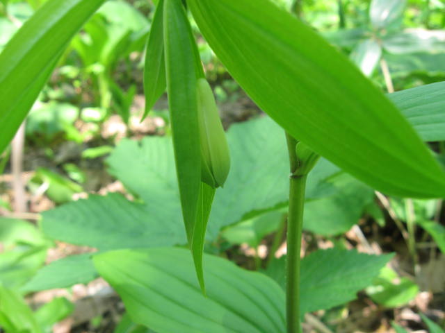 c0233141_1514422.jpg