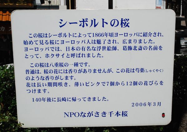 e0098241_15103888.jpg