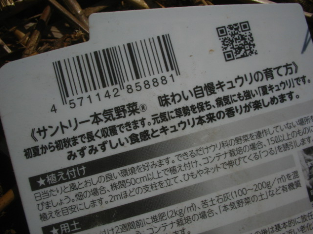 a0054043_10472253.jpg
