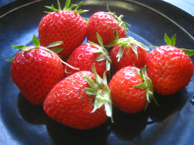 a0054043_11385340.jpg