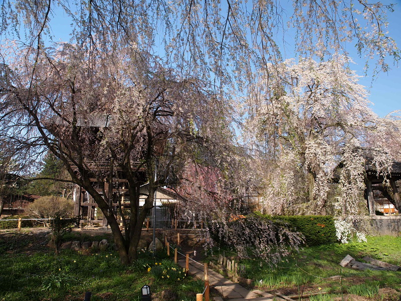 a0106043_23363655.jpg