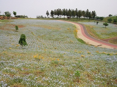 e0248844_20481253.jpg