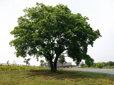 e0248844_2191939.jpg