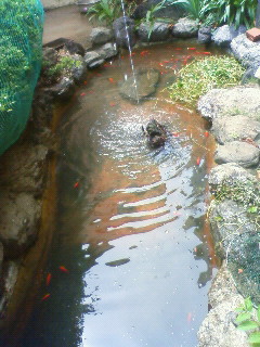 c0124646_18203915.jpg