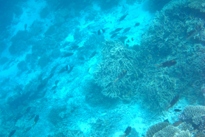f0190653_12302959.jpg