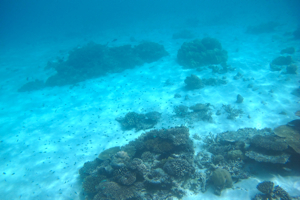 f0190653_12312418.jpg