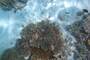 f0190653_12314189.jpg