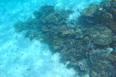 f0190653_12315045.jpg
