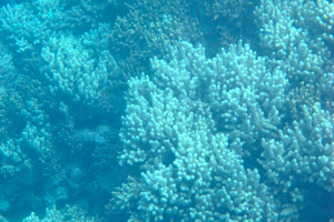 f0190653_1231581.jpg