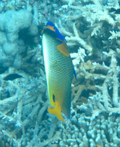 f0190653_12322123.jpg