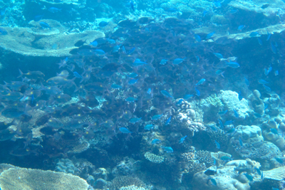 f0190653_12365326.jpg