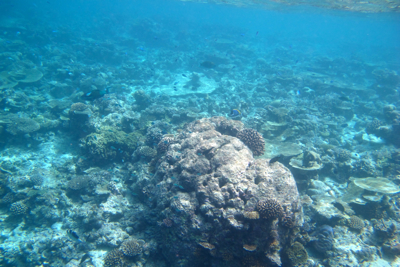 f0190653_12372014.jpg