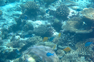 f0190653_12373467.jpg