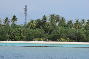 f0190653_13495298.jpg