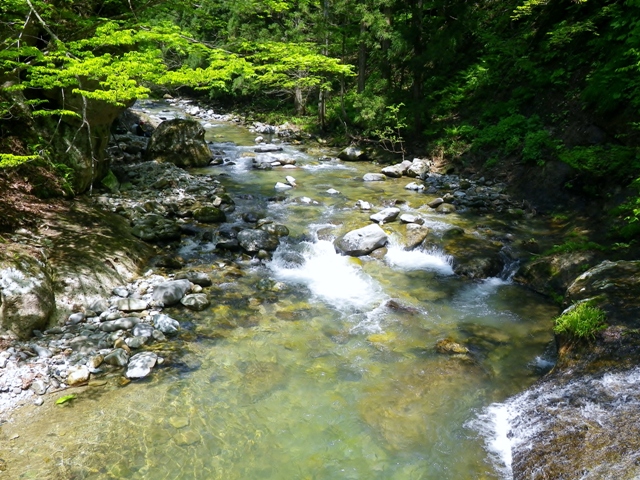 b0177355_21393733.jpg