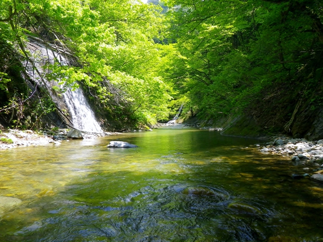 b0177355_21395021.jpg