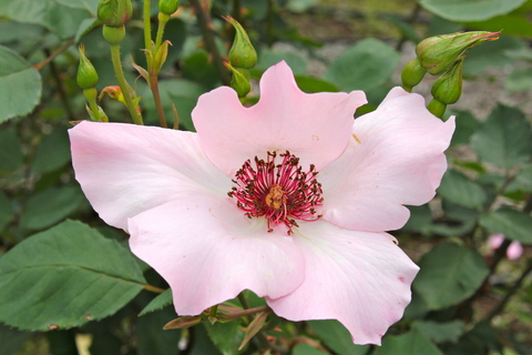 a0248459_3371585.jpg