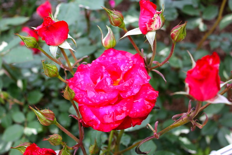 a0248459_3382379.jpg