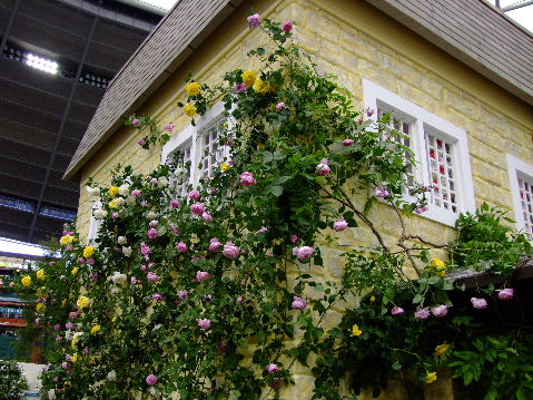 e0088260_19162191.jpg
