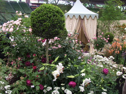 e0088260_193273.jpg