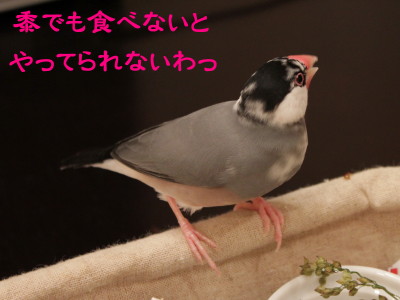b0158061_2233451.jpg