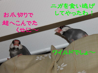 b0158061_22341189.jpg
