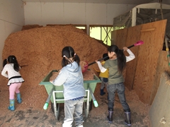 f0201565_11234855.jpg