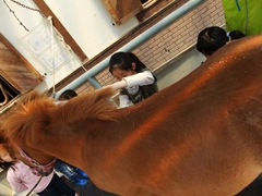 f0201565_1124107.jpg