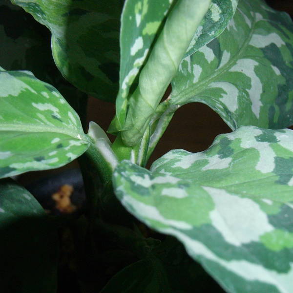 d0249970_21522499.jpg