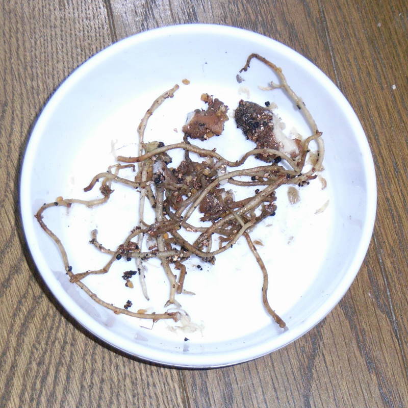 d0249970_21522528.jpg
