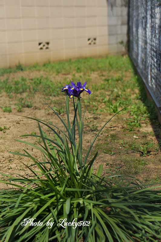 e0002371_3301418.jpg
