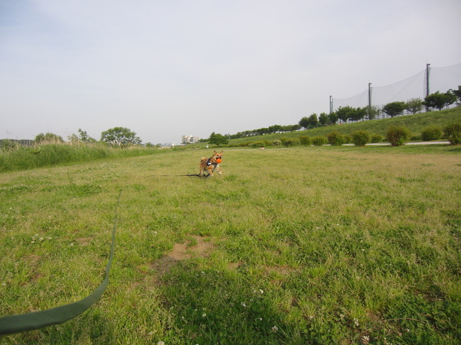 b0246876_23434938.jpg