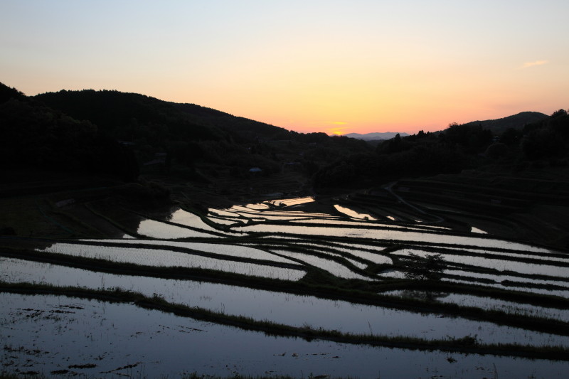 c0148777_18565761.jpg