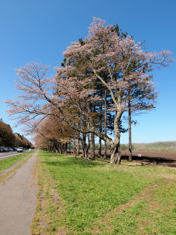 c0050380_2341015.jpg