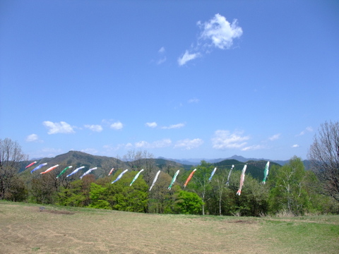 a0043982_551548.jpg
