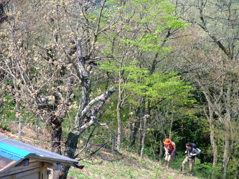 a0043982_5521147.jpg