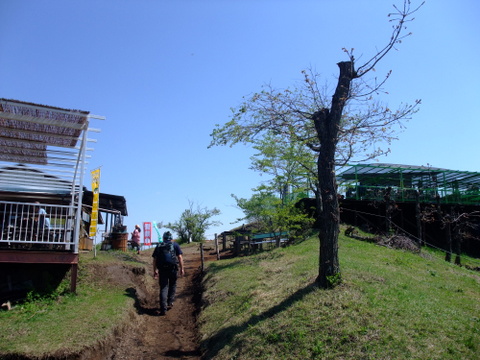 a0043982_5522786.jpg